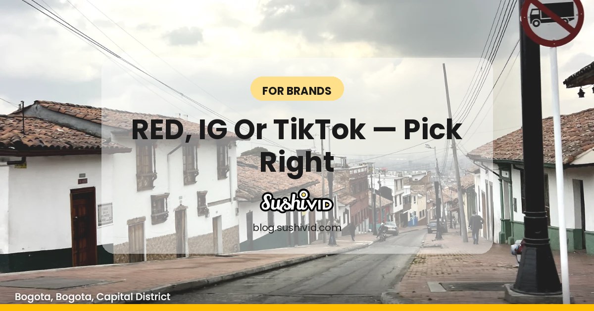 Back to Basics: How Brands Can Leverage Xiao Hong Shu, Instagram & TikTok – Setup, Differences, and Strategies for Maximum Impact