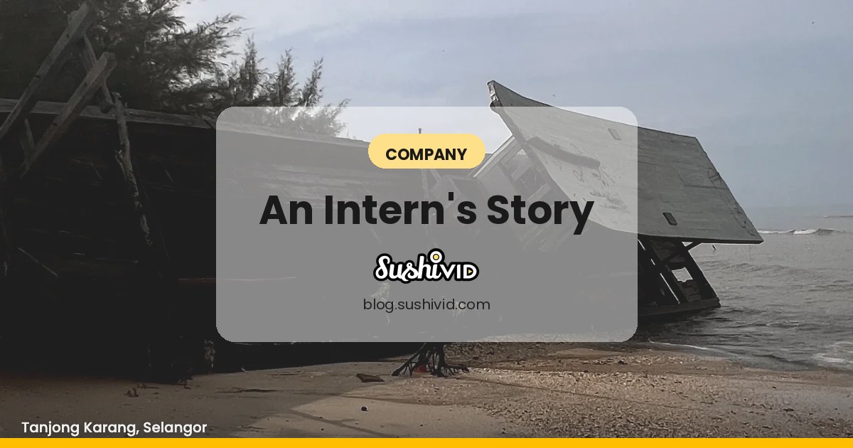 What did I learn so far at SushiVid as an Intern